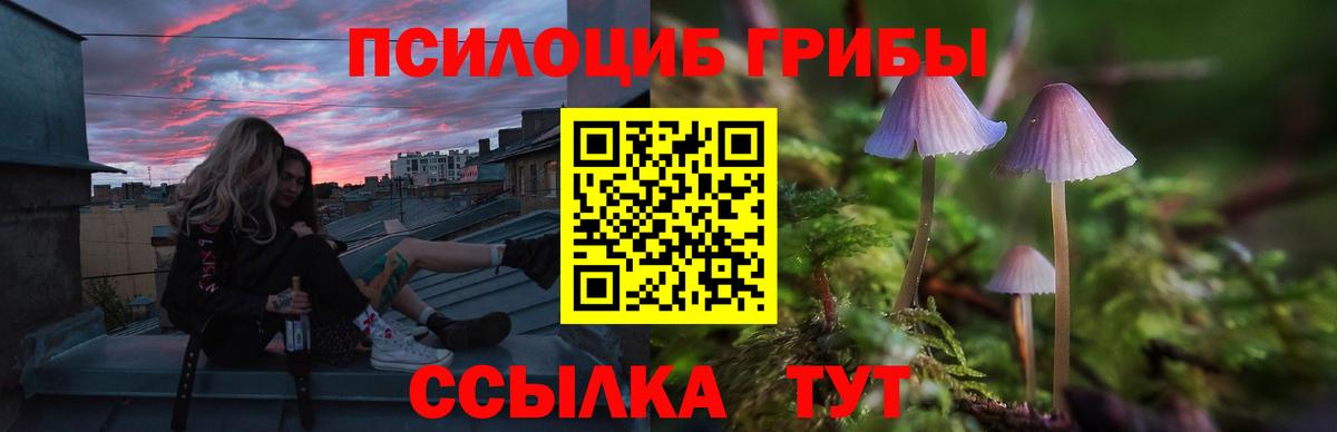 Пушкино  Галлюциногенные грибы Psilocybe  Вход с VPN 